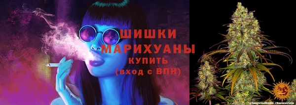 МДПВ Вязьма