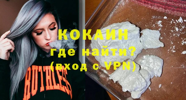 молекула духа Вяземский