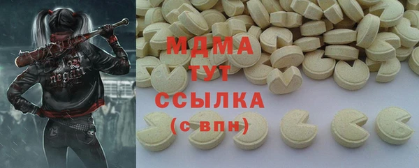 молекула духа Вяземский