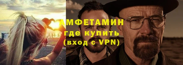 молекула духа Вяземский