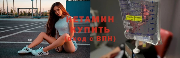 молекула духа Вяземский