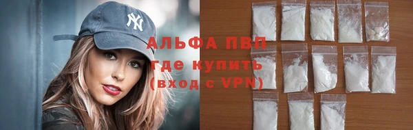 молекула духа Вяземский