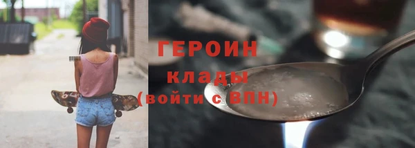 молекула духа Вяземский