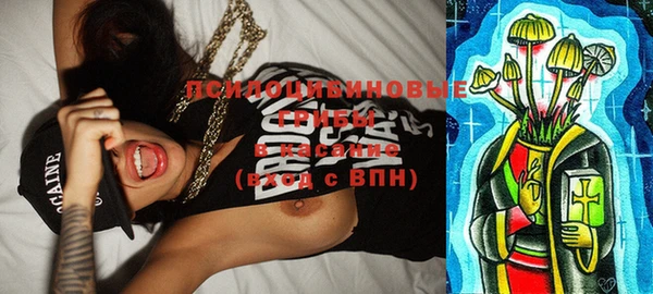 МДПВ Вязьма