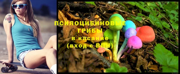 молекула духа Вяземский