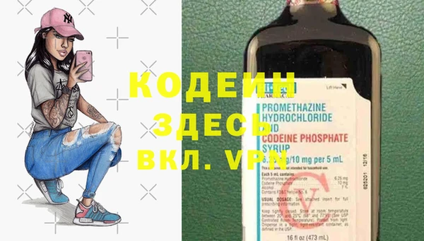 молекула духа Вяземский