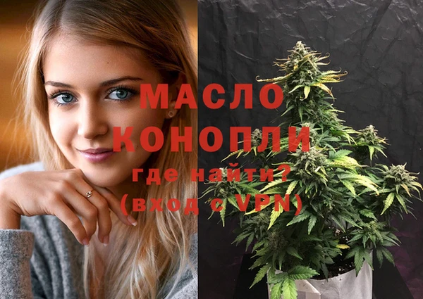 молекула духа Вяземский