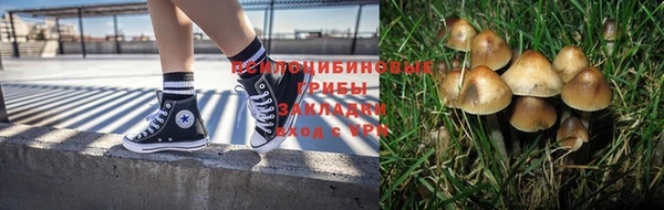 молекула духа Вяземский