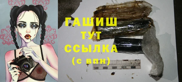 молекула духа Вяземский
