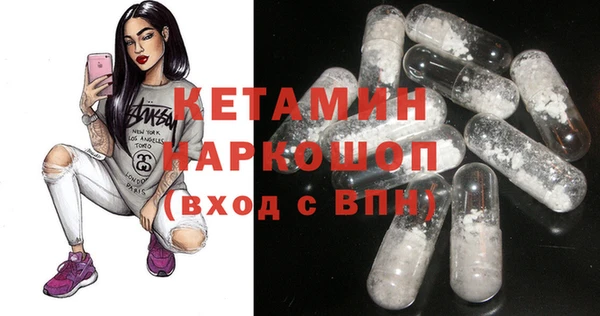 молекула духа Вяземский
