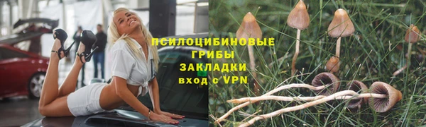 МДПВ Вязьма