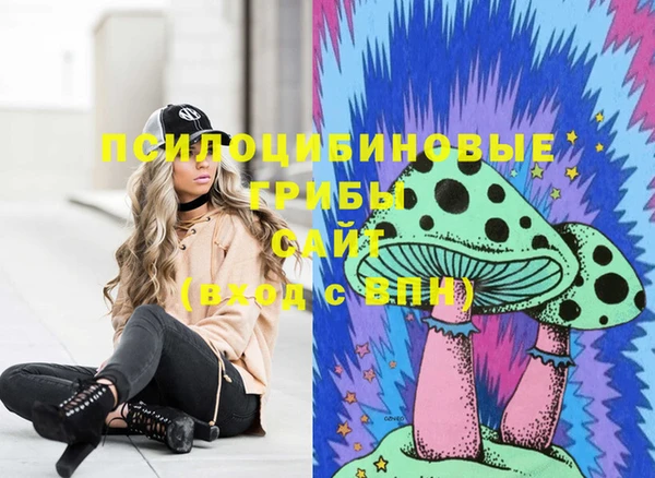 спайс Вязники