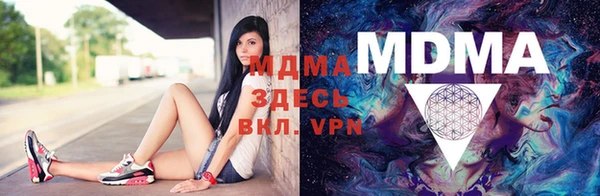 молекула духа Вяземский