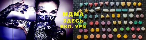 молекула духа Вяземский
