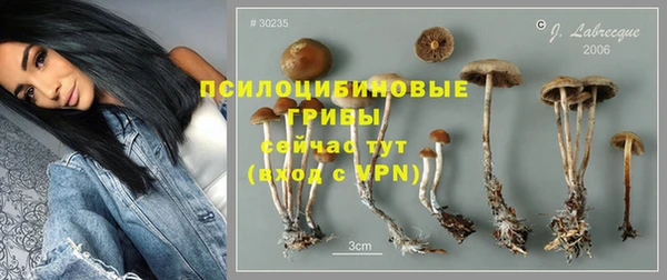 спайс Вязники
