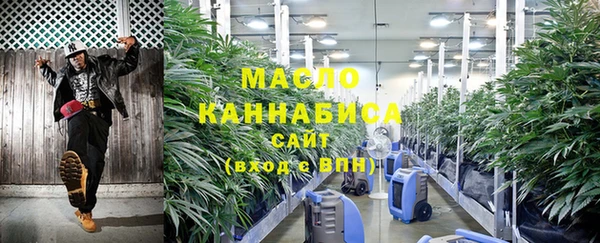 молекула духа Вяземский